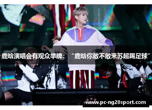 鹿晗演唱会有观众举牌：“鹿晗你敢不敢来苏超踢足球”